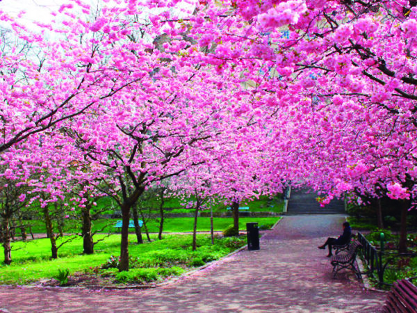 PARQUE DO CARMO EM SÃO PAULO