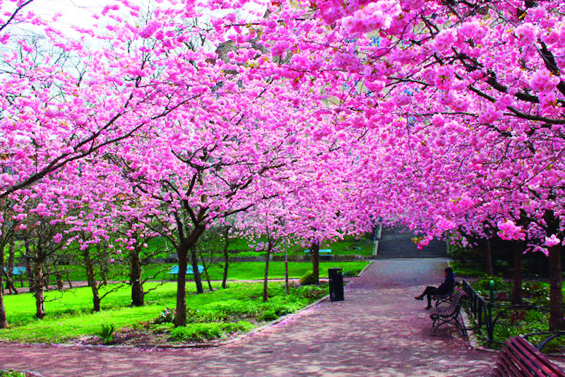 PARQUE DO CARMO EM SÃO PAULO